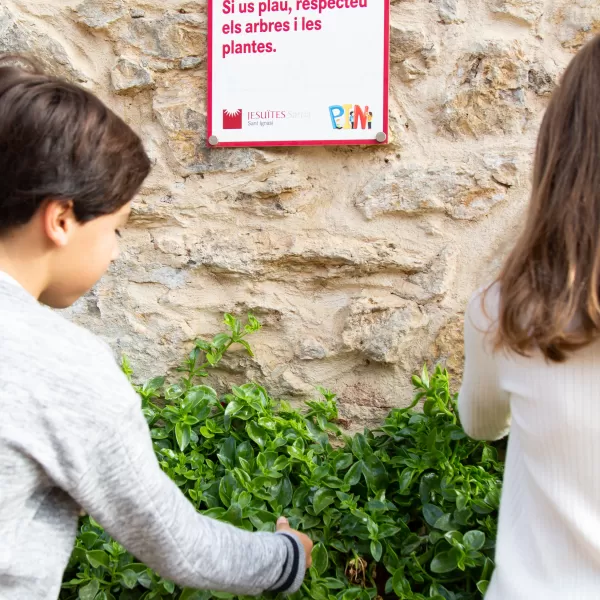 Projecte educatiu de l'etapa de Primària de Jesuïtes Sarrià Sant Ignasi