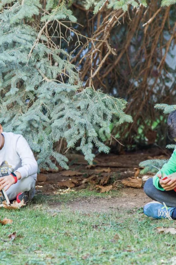 Activitats del claver natura de l'escola Jesuites Lleida