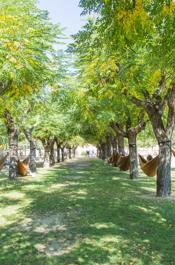 Entorn del claver natura de l'escola Jesuites Lleida