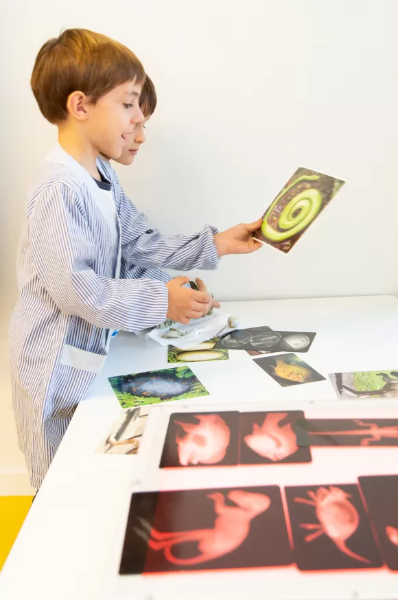 Alumnes d'infantil de l'escola Jesuites Sarria - Sant Ignasi mirant fotografies