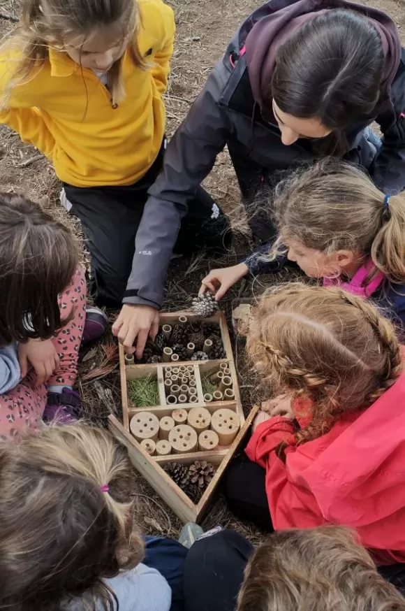 Alumnes de 1r de primària en una sessió de bosc del projecte Claver Ntura al bosc de l'escola