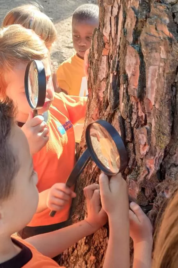 MOPI 4 en la Cerca dels Minairons, en el marc del projecte Claver Natura. 