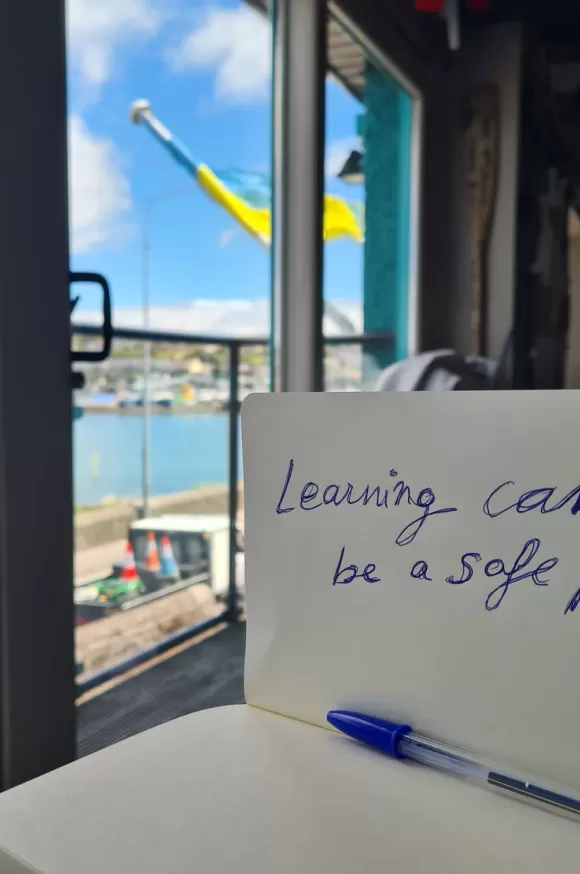 jesarriairlanda prof erasmus 12