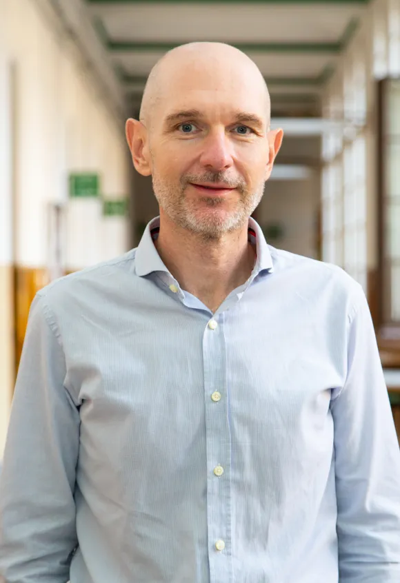 David Beltrán