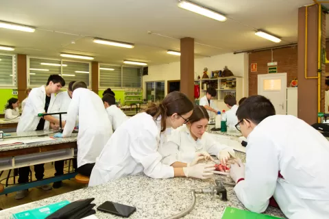 Laboratori de l'ESO de l'escola Jesuites Bellvitge