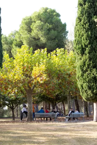 Pati de Batxillerat de l'escola Jesuites Lleida