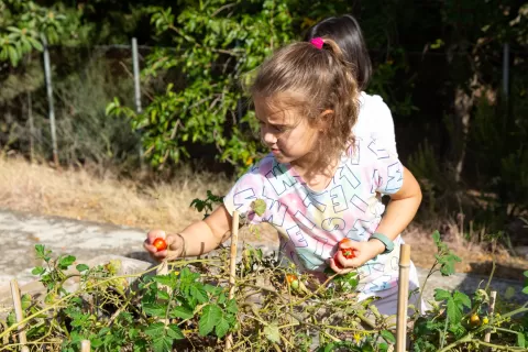 Alumnes de l'escola Jesuites Lleida fent activitats del claver natura