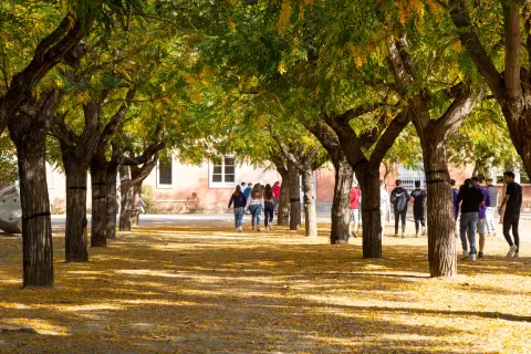 Entorn natural de l'escola de Jesuites Lleida