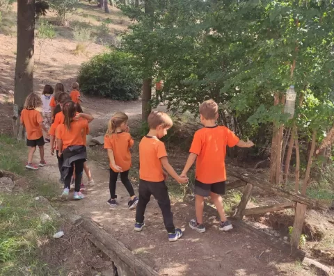 Bosc de l'escola Jesuites Lleida