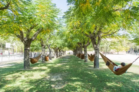 Entorn del claver natura de l'escola Jesuites Lleida