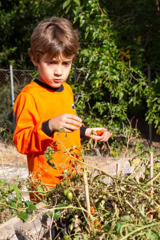 Hort de l'escola Jesuites Lleida