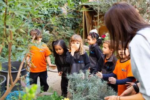 L'hort amb els alumnes d'infantil de l'escola Jesuites Poble-sec