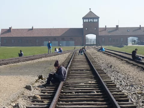 Sortides a Auschwitz