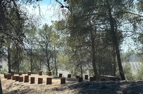 Nou espai de cercle de troncs creat al bosc del Claver en el marc del projecte Claver Natura