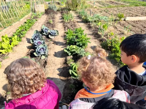 Infants de P3 a l'hort en el taller educatiu de Pagesos per un Dia al Punt Eco