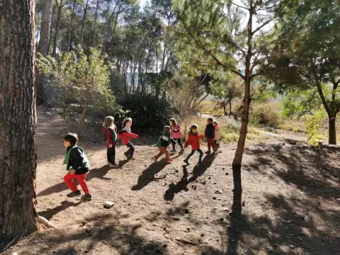 Alumnes de 1r de primària en una sessió de bosc del projecte Claver Ntura al bosc de l'escola