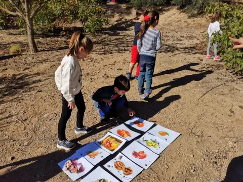 Alumnes de 1r de primària en una sessió de bosc del projecte Claver Ntura al bosc de l'escola