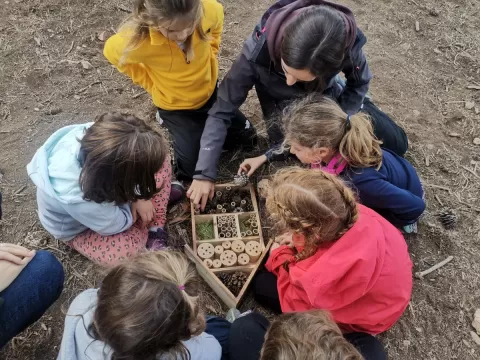 Alumnes de 1r de primària en una sessió de bosc del projecte Claver Ntura al bosc de l'escola