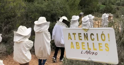 Alumnes de 2n de primària dirigint-se al rusc a Cal Gort, en el marc del taller d'apicultura. 