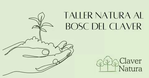 Cartell Taller Natura 2025