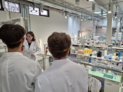 biomedicina virtual bat
