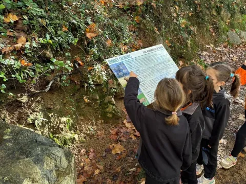 Sortida al bosc de Gualba