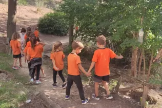 Bosc de l'escola Jesuites Lleida