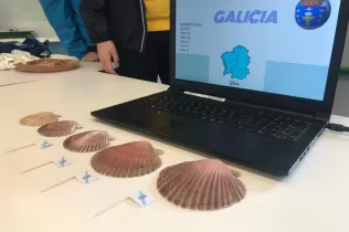 Fira tancament projecte 6è Prim-NEI