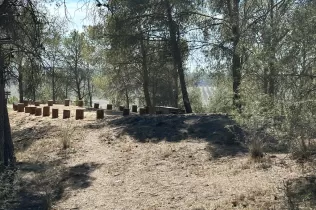 Nou espai de cercle de troncs creat al bosc del Claver en el marc del projecte Claver Natura