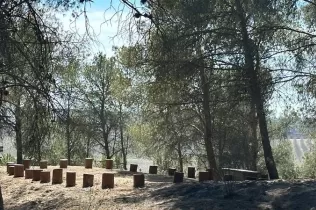 Nou espai de cercle de troncs creat al bosc del Claver en el marc del projecte Claver Natura