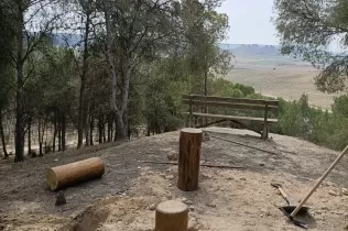 Procés de construcció del nou espai de cercle de troncs creat al bosc del Claver en el marc del projecte Claver Natura