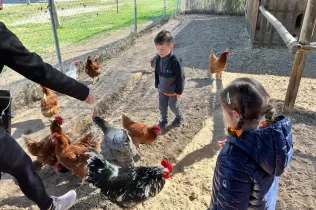 Nens i nenes de P3 amb les gallines en el taller educatiu de Pagesos per un Dia al Punt Eco