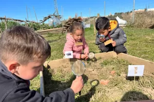 Infants de P3 observant els insectes al palet amb una lupa en el taller educatiu de Pagesos per un Dia al Punt Eco