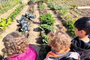 Infants de P3 a l'hort en el taller educatiu de Pagesos per un Dia al Punt Eco