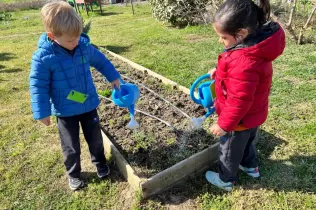 Nenes de P3 regant les plantes de l'hort en el taller educatiu de Pagesos per un Dia al Punt Eco