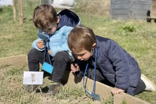 Nens de P3 en un palet de l'hort en el taller educatiu de Pagesos per un Dia al Punt Eco