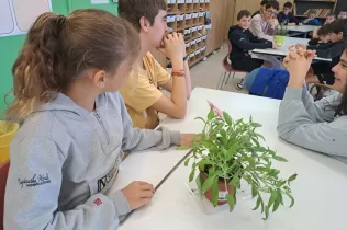 Trobada d'alumnes de 3r ESO i 4t primària en una aula de  4t PIN agermanats per a celebrar la Pasquan fent una plantada al pat de l'escola