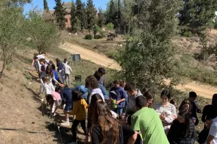 Alumnes grans i petits fent la plantada al pati de l'escola en la celebració de la Pasqua