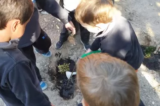 Alumnes grans i petits fent la plantada al pati de l'escola en la celebració de la Pasqua