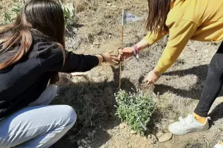 Alumnes grans i petits fent la plantada al pati de l'escola en la celebració de la Pasqua