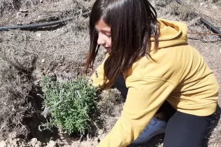 Alumnes grans i petits fent la plantada al pati de l'escola en la celebració de la Pasqua