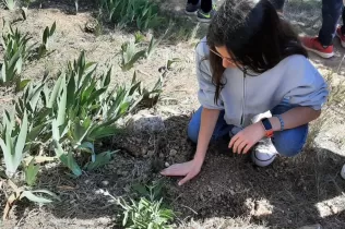 Alumnes grans i petits fent la plantada al pati de l'escola en la celebració de la Pasqua