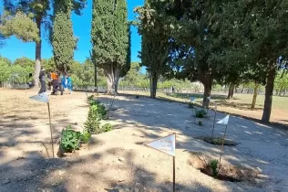 Alumnes grans i petits fent la plantada al pati de l'escola en la celebració de la Pasqua