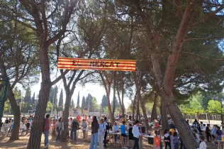 El Mercat del Bescanvi, mercat solidari organitzat per l'alumnat de 5è i 6è de Primària-NEI per la celebració de Sant Jordi