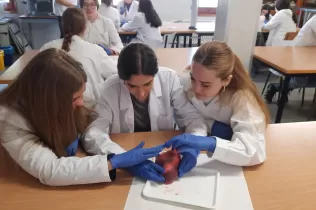 Alumnes de 4t ESO-TQE de la matèria Bojos per la Ciència fent una pràctica sobre el cor amb l'exalumne i estudiant de 4t de medicina Dídac Bellet