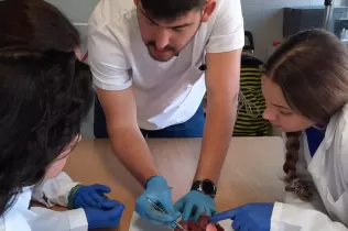 Alumnes de 4t ESO-TQE de la matèria Bojos per la Ciència fent una pràctica sobre el cor amb l'exalumne i estudiant de 4t de medicina Dídac Bellet