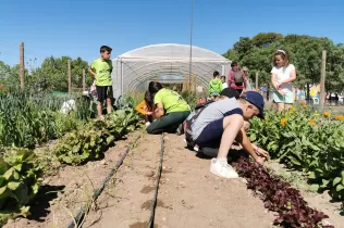 Nens i nenes de 2n de primària a l'hort de la granja escola de La Manreana