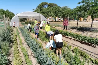 Nens i nenes de 2n de primària a l'hort de la granja escola de La Manreana