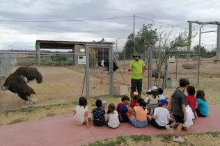 Nens i nenes de 2n de primària escoltant les explicacions sobre els animals que els fa el monitor de la granja escola de La Manreana