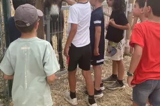 Nens i nenes de 2n de primària al taller d'animals a la granja escola de La Manreana